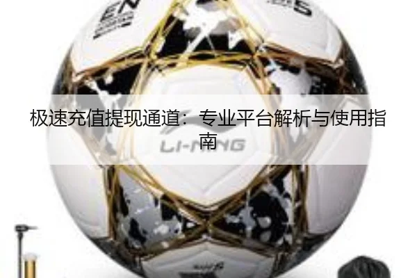 极速充值提现通道：专业平台解析与使用指南