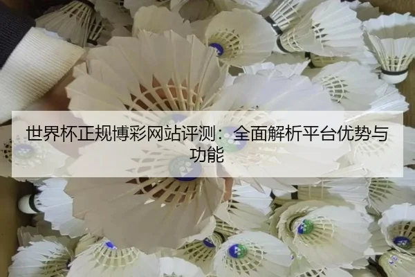 世界杯正规博彩网站评测：全面解析平台优势与功能